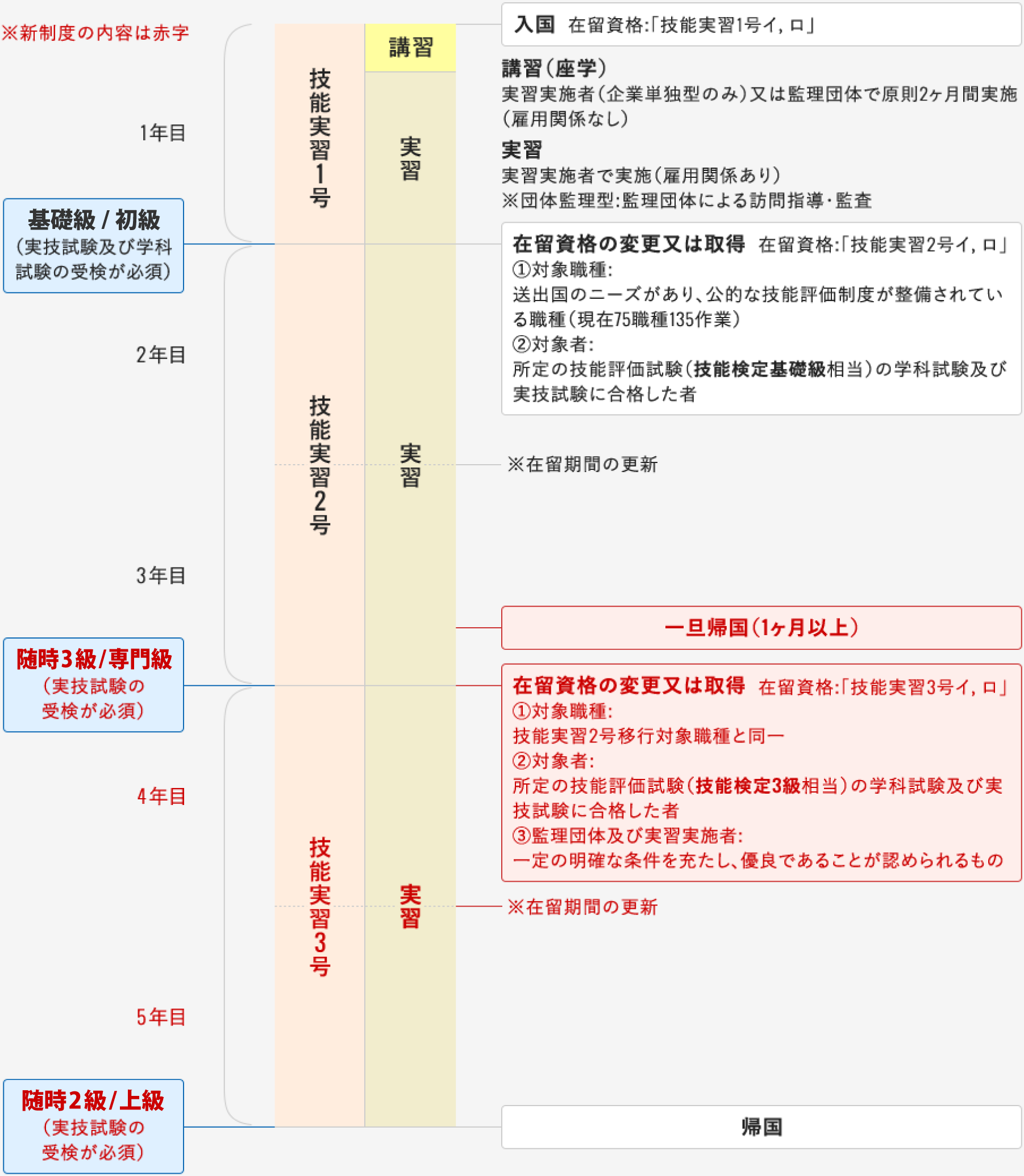 技能実習の流れの画像